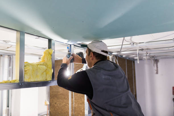 Best Eco-Friendly Insulation in West Pelzer, SC