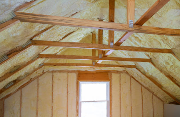 Professional Insulation Contractor in West Pelzer, SC